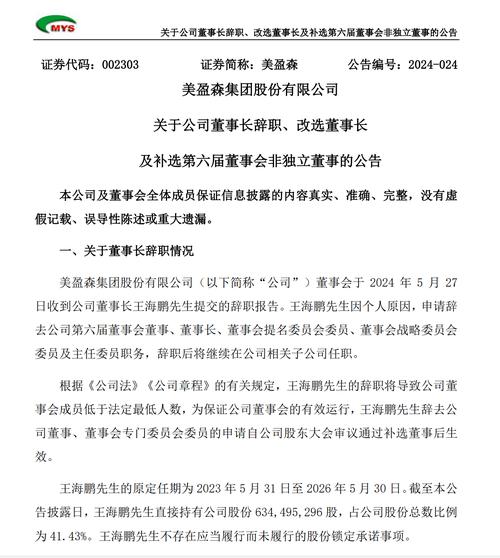美盈森上市时间,美盈森市值多少钱-第5张图片 美盈森上市时间,美盈森市值多少钱-第5张图片