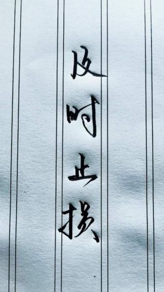 车辆止损是什么意思-第2张图片 车辆止损是什么意思-第2张图片