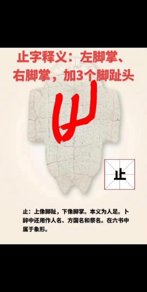 车辆止损是什么意思-第4张图片 车辆止损是什么意思-第4张图片