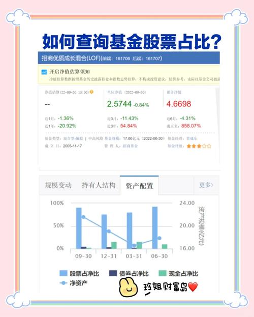 百度天天基金净值查询-天天基金净值网每天净值自选基金查询-第1张图片