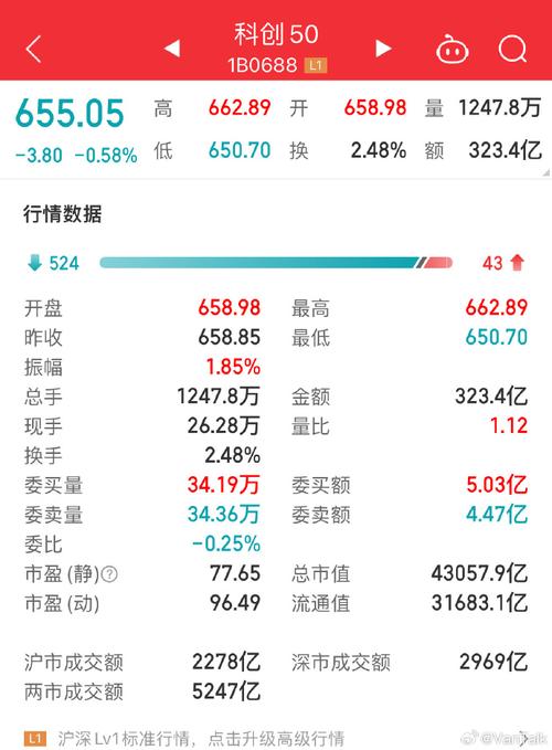 50亿市值的上市公司是什么水平