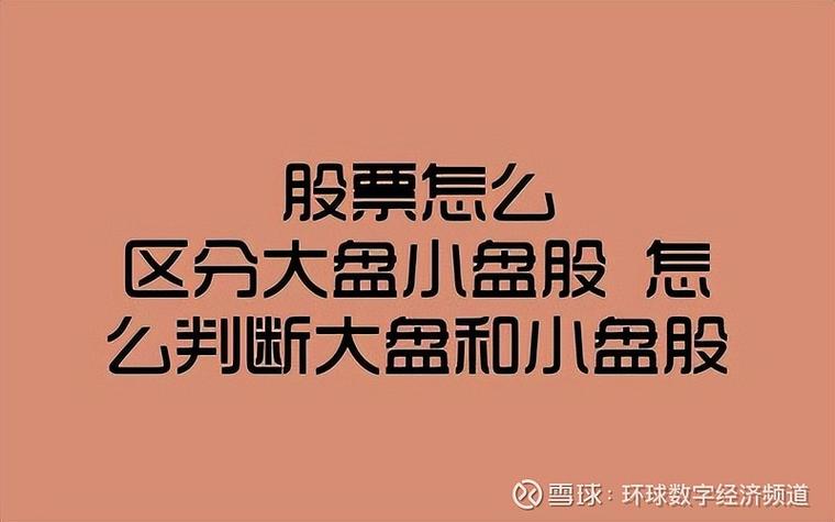 50亿市值的上市公司是什么水平-第8张图片 50亿市值的上市公司是什么水平-第8张图片