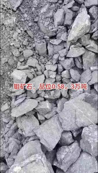 纯钼的费用多少钱一吨/钼费用多少钱一斤-第5张图片