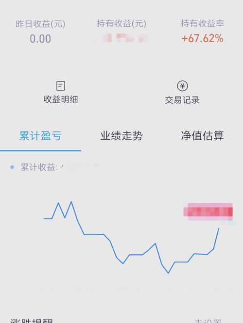 怎样查询个人基金帐户的资金-怎样查询个人基金帐户的资金来源-第6张图片