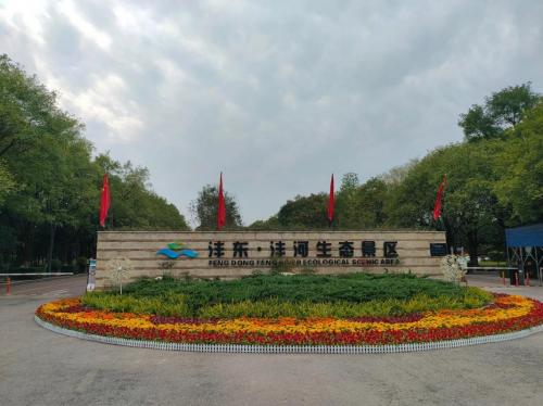 阳光城会倒掉吗/阳光城要倒闭了吗-第1张图片