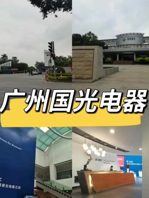 国光电器生产什么，国光电器前景