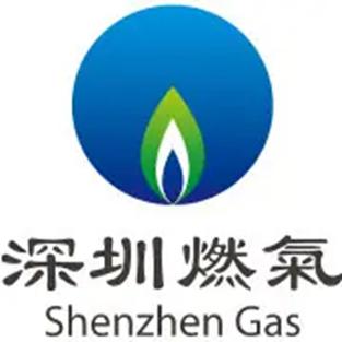 深油燃气是正规燃气吗-第2张图片 深油燃气是正规燃气吗-第2张图片