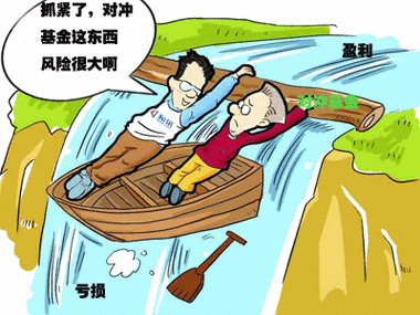 对冲基金会亏损吗,对冲基金稳赚不赔吗-第6张图片 对冲基金会亏损吗,对冲基金稳赚不赔吗-第6张图片