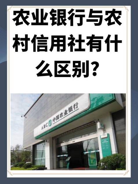 农业银行和农信银行是一个银行吗-农业银行和农信银行是一个银行吗?-第4张图片