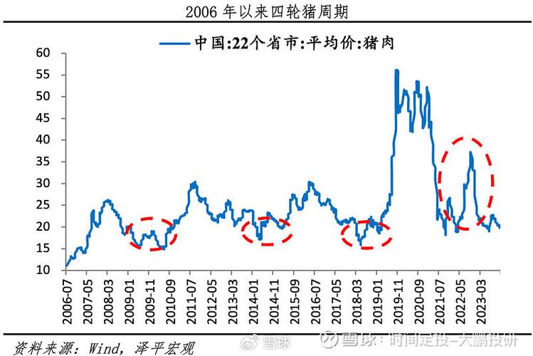 金新农股票走势分析，金新农股票走势图-第3张图片