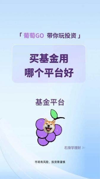 510880可以定投一辈子吗-第6张图片