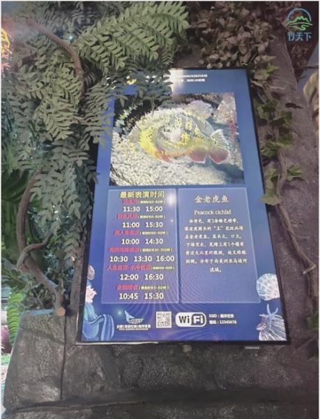 鄂尔多斯市人力资源和社会保障局东胜区地址/鄂尔多斯市东胜区社会保险事业服务中心-第5张图片