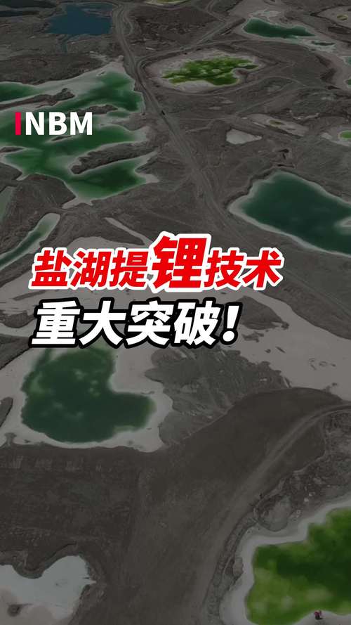 盐湖提锂股票有哪些-第2张图片 盐湖提锂股票有哪些-第2张图片
