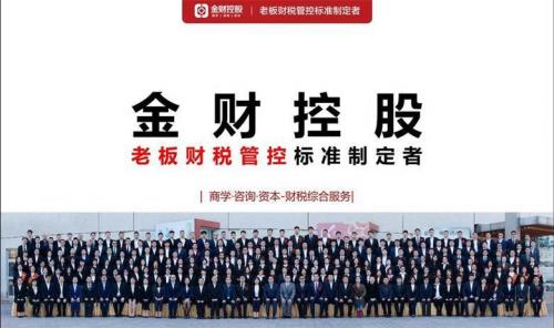 金财控股是个什么样的公司，金财控股股份有限公司