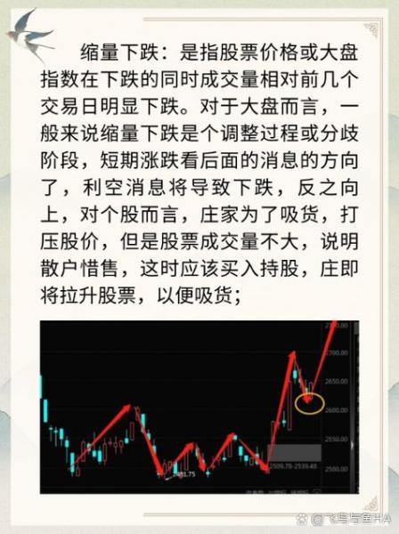 券茅是哪个股票/券是什么意思怎么读-第1张图片 券茅是哪个股票/券是什么意思怎么读-第1张图片