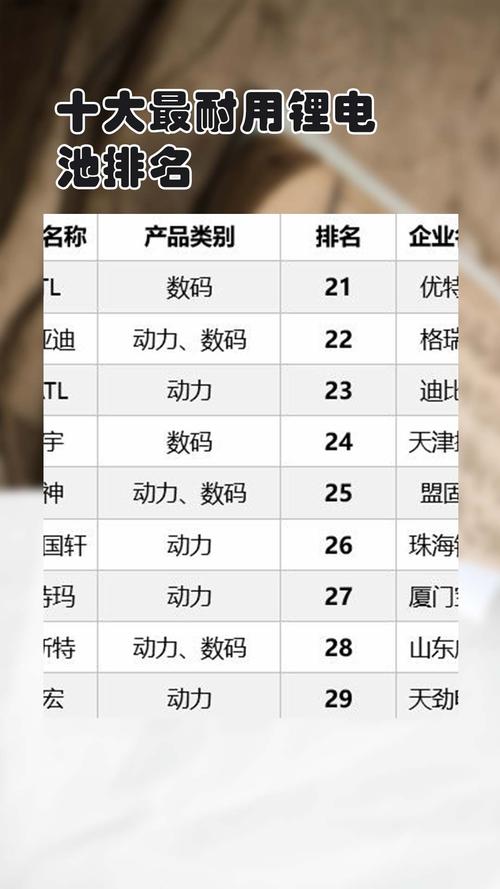锂电池生产厂家排名/生产锂电池的厂家-第5张图片 锂电池生产厂家排名/生产锂电池的厂家-第5张图片