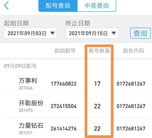 打新股如何知道是否中签/打新股如何知道是否中签了呢-第8张图片