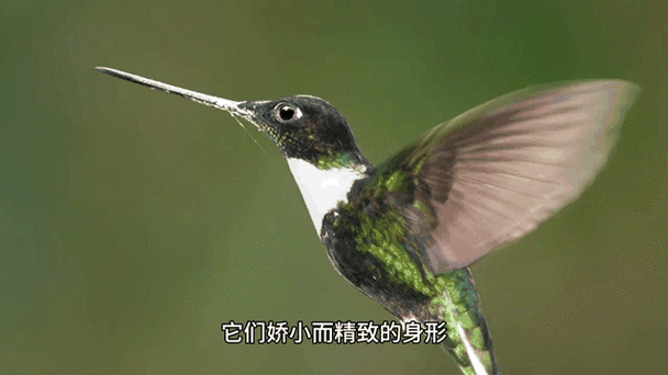 香港面积1100公顷还是平方千米-香港的面积约为1100平方千米吗-第3张图片 香港面积1100公顷还是平方千米-香港的面积约为1100平方千米吗-第3张图片