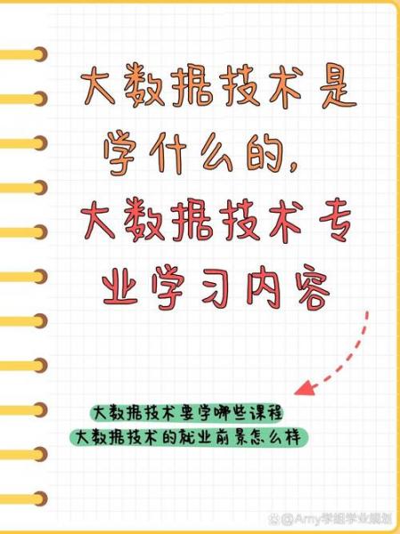 大数据主要是学什么/大数据主要是学什么专业