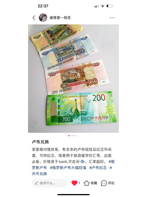 在俄罗斯卢布怎么换成人民币-第6张图片 在俄罗斯卢布怎么换成人民币-第6张图片