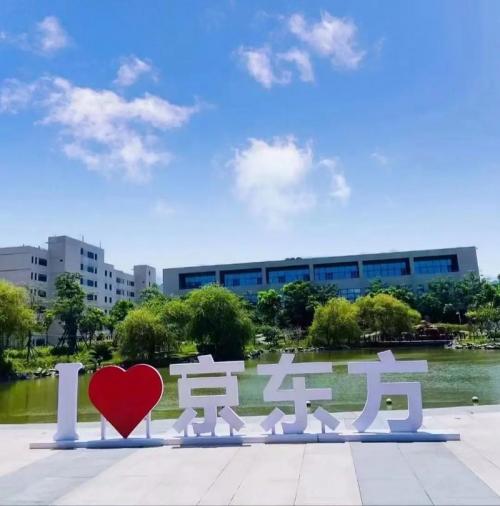 重庆京东方是国企吗/重庆京东方是国企吗?