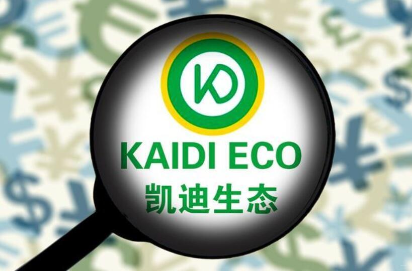 000939凯迪生态还有救吗-第2张图片 000939凯迪生态还有救吗-第2张图片