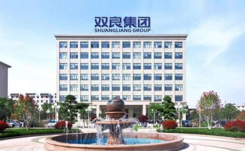 双良集团是上市公司吗-第5张图片