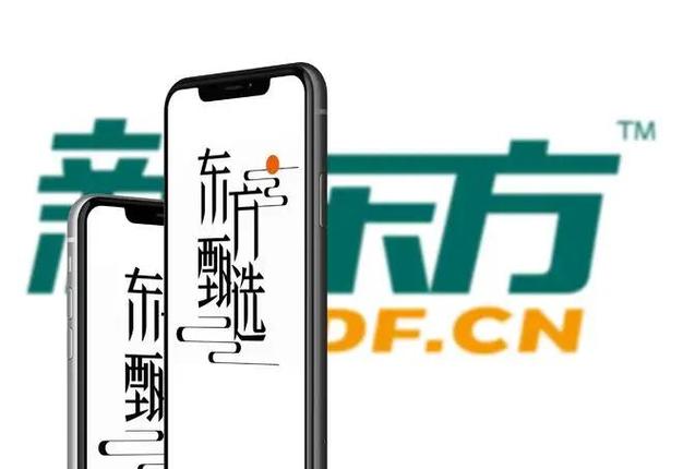 东方甄选直播间为什么会火-第4张图片 东方甄选直播间为什么会火-第4张图片