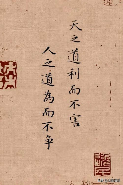 增益其所不能下一句是什么-增益无所不能翻译
