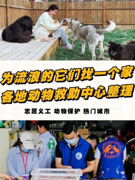 北京公益基金会排名-第2张图片 北京公益基金会排名-第2张图片