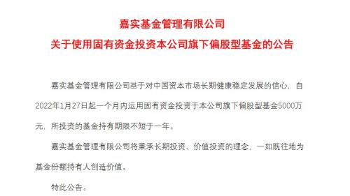 嘉实070022基金净值，嘉实070009基金查询