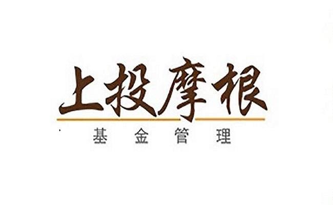 上投摩根新兴动力组合怎么样-上投摩根全球新兴市场-第8张图片 上投摩根新兴动力组合怎么样-上投摩根全球新兴市场-第8张图片