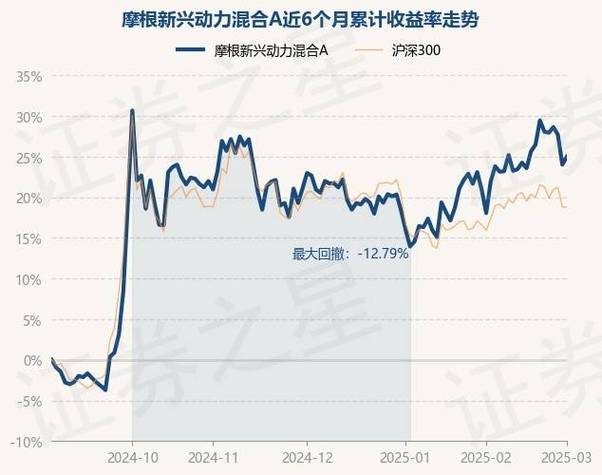 上投摩根新兴动力组合怎么样-上投摩根全球新兴市场-第10张图片 上投摩根新兴动力组合怎么样-上投摩根全球新兴市场-第10张图片