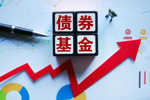 债倦基金是什么-债基是什么安全吗