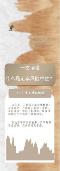 汇率风险的概念/汇率风险的概念是什么-第6张图片