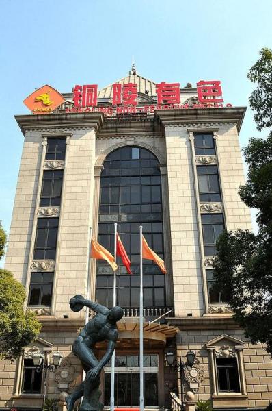 铜陵有色有几个厅级干部/铜陵有色一把手什么级别-第6张图片
